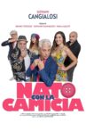 Nato con la camicia Movie Streaming Online