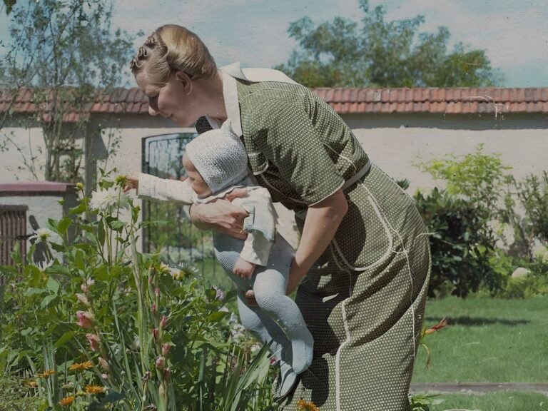 The Zone of Interest: Highly Celebrated Oscar Winner Streaming Now