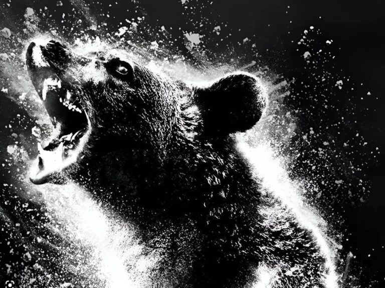 Cocaine Bear 2: A Sequel For The Thriller Is Reportedly In The Works!
