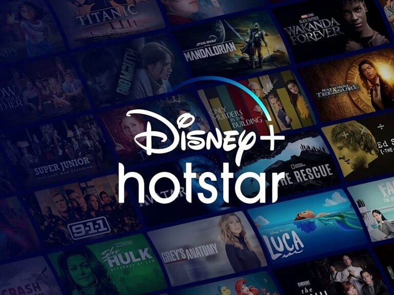 Disney+Hotstar Leads 2024 Q2 By a Small Margin!
