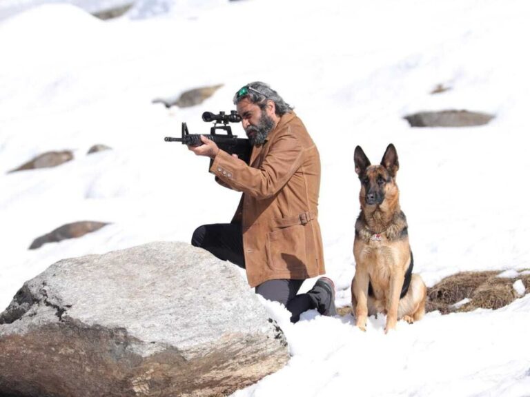Shailendra Singh’s ‘Dog’ Available For Rent On Prime Video