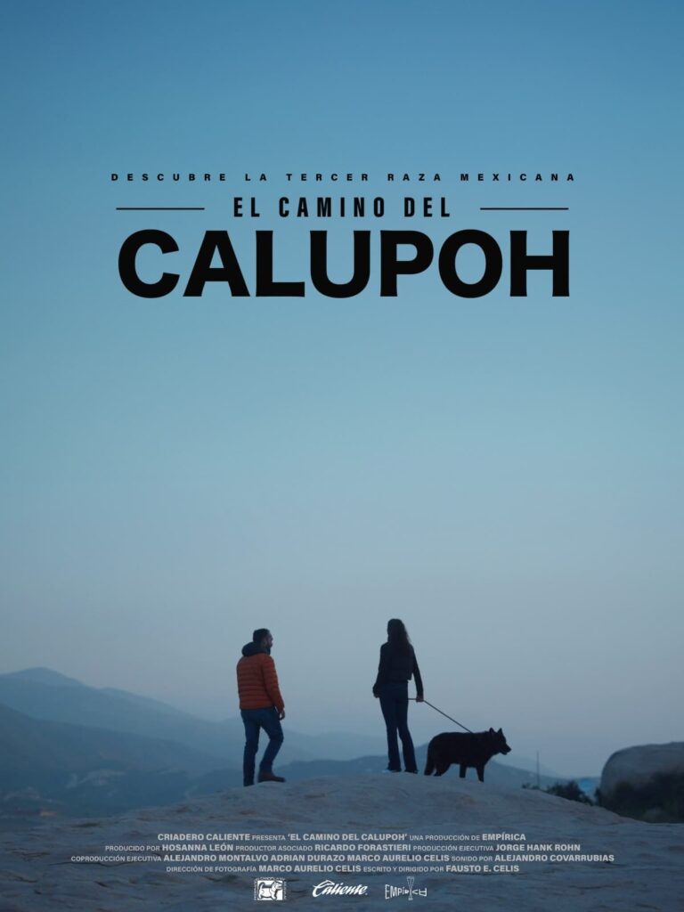 El Camino del Calupoh Spanish Movie Streaming Online Watch