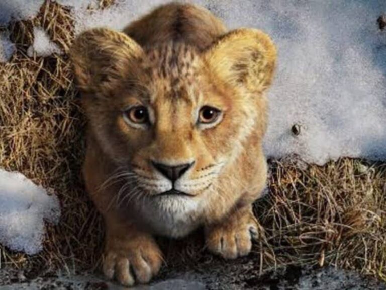 Mufasa Hindi Version To Have Voices Of Shahrukh Khan & His Sons!