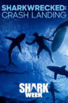 Sharkwrecked: Crash Landing Movie Streaming Online