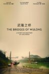 The Bridges Of Wulong Movie Streaming Online