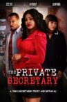 The Private Secretary Movie Streaming Online