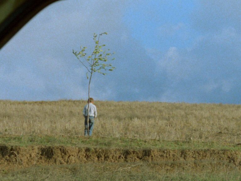 Stream This Iranian Film On Prime Video