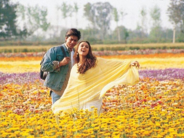 Veer-Zaara: The Highest Rated Film Ever!