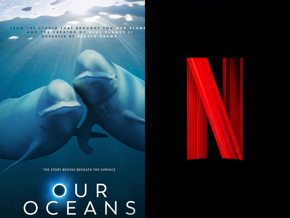 Take A Deep Dive Into the World’s Best Oceans With Barrack Obama On Netflix