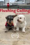 Flushing Calling, Can you hear me? Movie Streaming Online