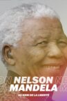 Nelson Mandela, au nom de la liberté Movie Streaming Online