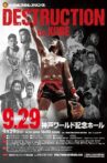 NJPW Destruction In Kobe 2024 Movie Streaming Online