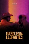 Puente Para Elefantes Movie Streaming Online
