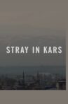 Stray in Kars Movie Streaming Online