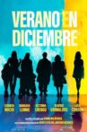 Verano en diciembre Movie Streaming Online