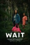 Wait Movie Streaming Online