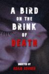 A Bird on the Brink of Death Movie Streaming Online