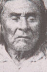 Chief Seattle Movie Streaming Online