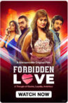 Forbidden Love Movie Streaming Online
