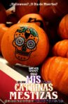 Mis Catrinas Mestizas Movie Streaming Online