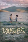 Searching for Daisies Movie Streaming Online