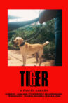 TIGER Movie Streaming Online