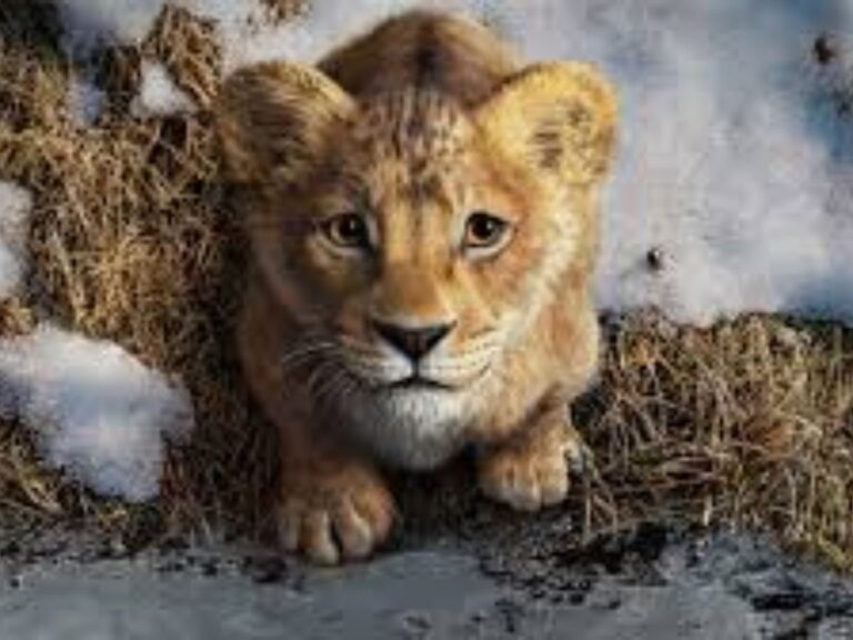 Is Disney Doing Enough To Promote Mufasa: The Lion King?