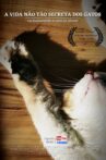 A Vida Não Tão Secreta dos Gatos Movie Streaming Online