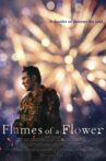 Flames of a Flower Movie Streaming Online