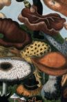 Fungi (Secrets of Nature #3) Movie Streaming Online