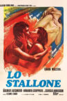 Lo stallone Movie Streaming Online
