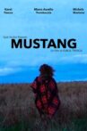 Mustang Movie Streaming Online