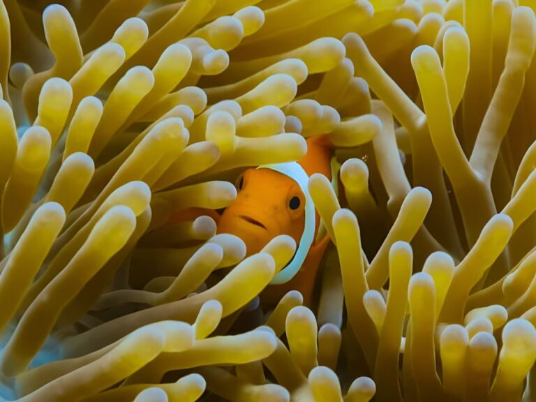 National Geographic To Plan New Unscripted Series