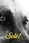 Solo! Movie Streaming Online