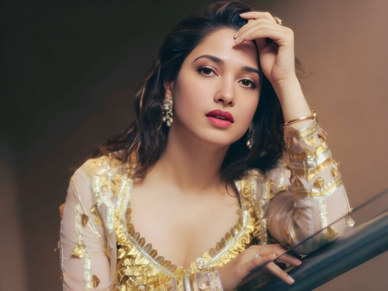 Can Indian Cinema Bridge the ‘North-South’ Divide?