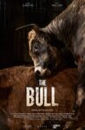 The Bull Movie Streaming Online