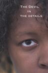 The Devil in the Details Movie Streaming Online