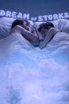 Dream of Storks Movie Streaming Online