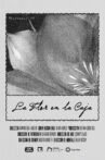 La Flor en la Caja Movie Streaming Online