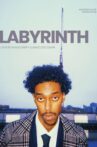 Labyrinth Movie Streaming Online