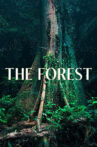 The Forest Movie Streaming Online