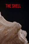 The shell Movie Streaming Online