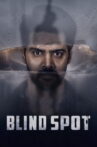 Blind Spot Movie Streaming Online