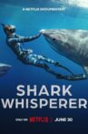 Shark Whisperer Movie Streaming Online