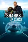 Sharks Up Close with Bertie Gregory Movie Streaming Online
