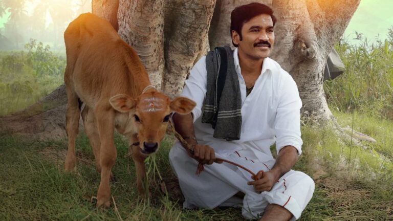 Idli Kadai: Will Dhanush’s Directorial Get a Second Life on OTT?