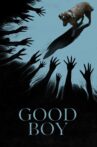 Good Boy Movie Streaming Online