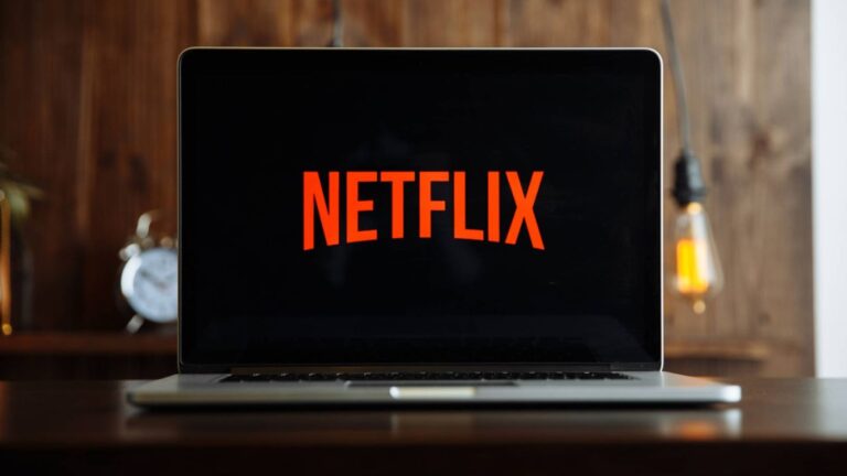 Netflix, Govt Join Hands: Indian Landscapes Under Spotlight