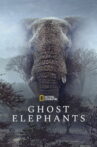 Ghost Elephants Movie Streaming Online