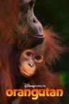 Orangutan Movie Streaming Online